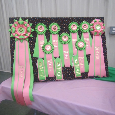 The ribbons that were awarded